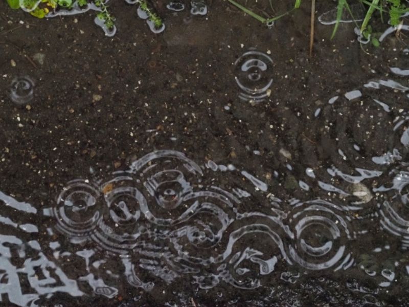 【外壁塗装】雨の日の工事はどうなる？塗装への影響と知っておきたい「中止の基準」を解説